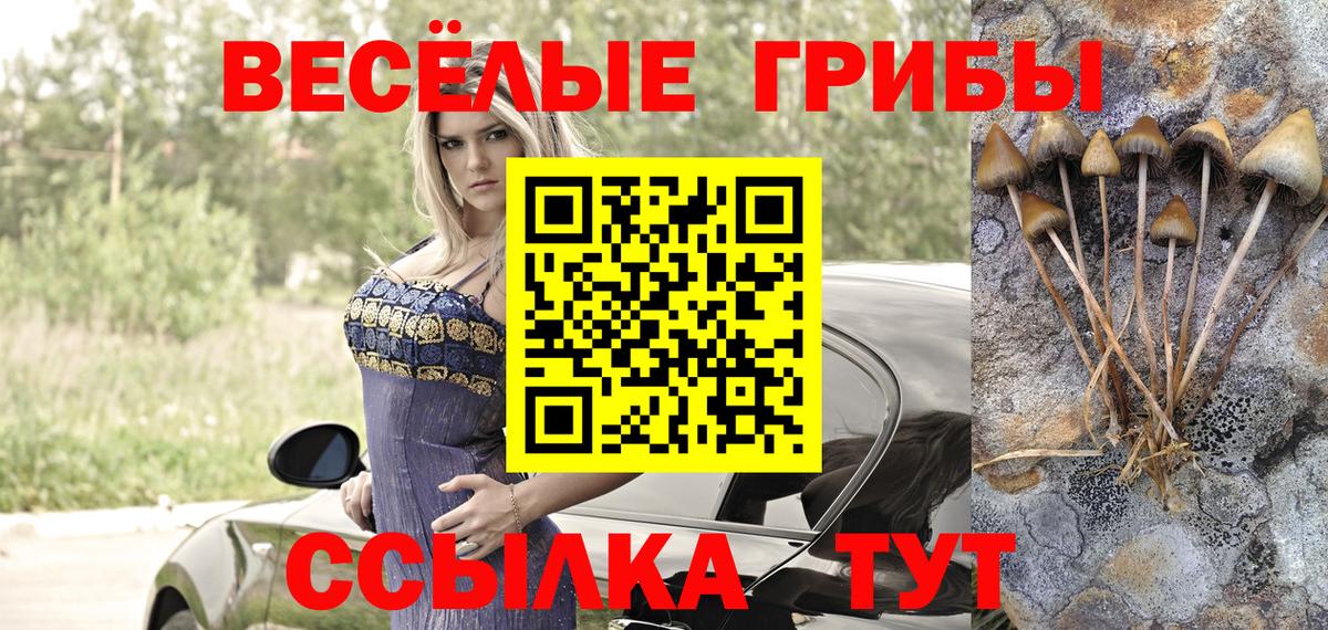 Псилоцибиновые грибы Cubensis Белебей