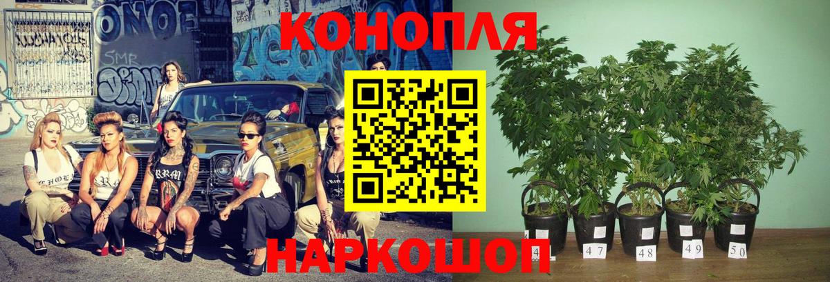 Белебей  Бошки марихуана THC 21%  МАРИХУАНА SATIVA & INDICA  Вход с VPN  Бошки марихуана гибрид 